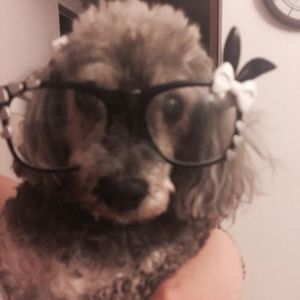 Meet your Posher, Elizabeth